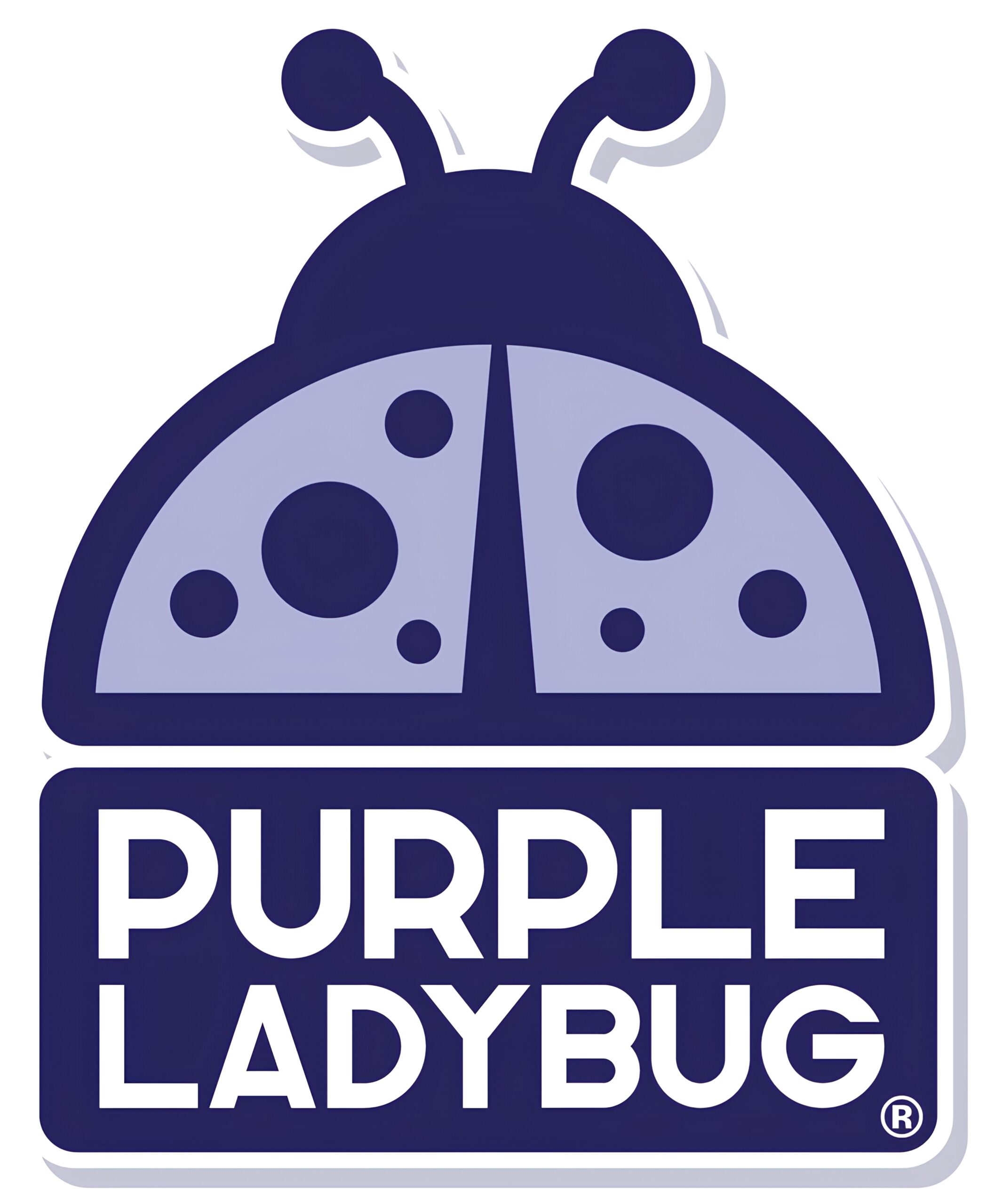 Purple Ladybug Sparkly Jewelry Official Website